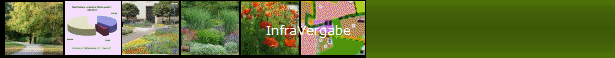 InfraVergabe